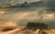 galleryImage
