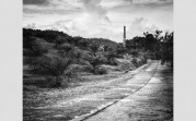 galleryImage