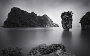 galleryImage