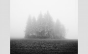 galleryImage
